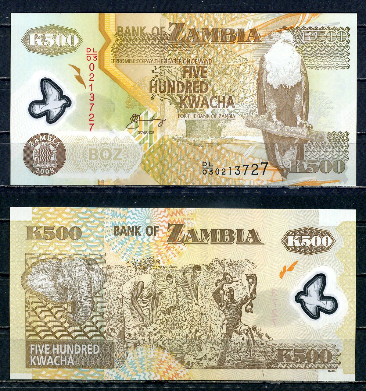 Замбия 500 квач 2008 Pick 43 f пластик UNC (пресс) 00-00