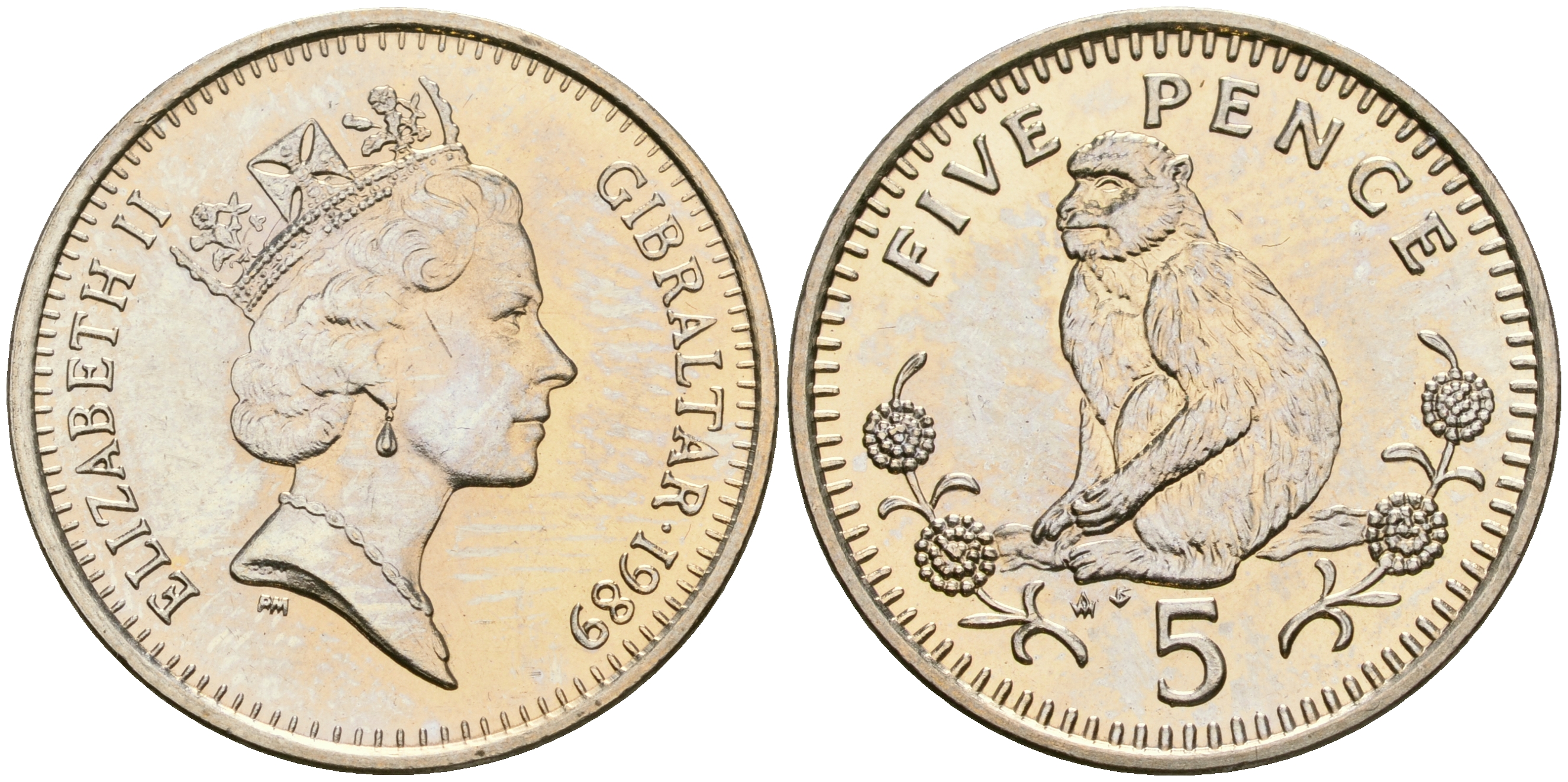 Гибралтар 5 пенсов 1989 АВ обезьяна KM 22 медно-никель UNC 87-457