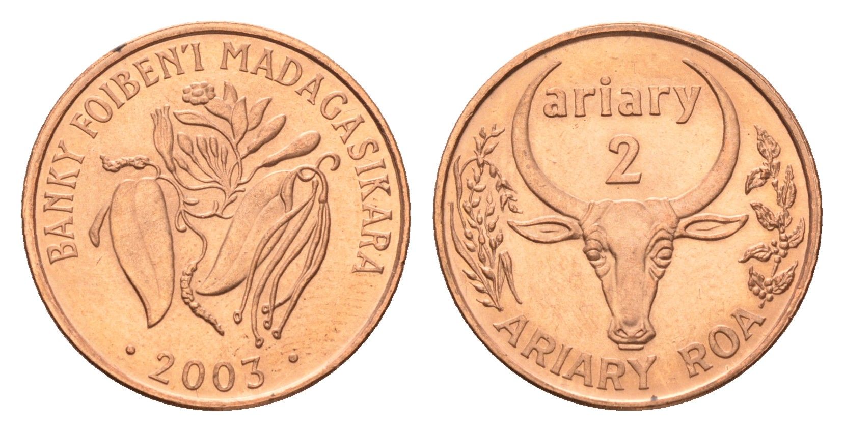 Мадагаскар 2 ариари 2003 год-тип KM 30 сталь плакированная медью 4669-514