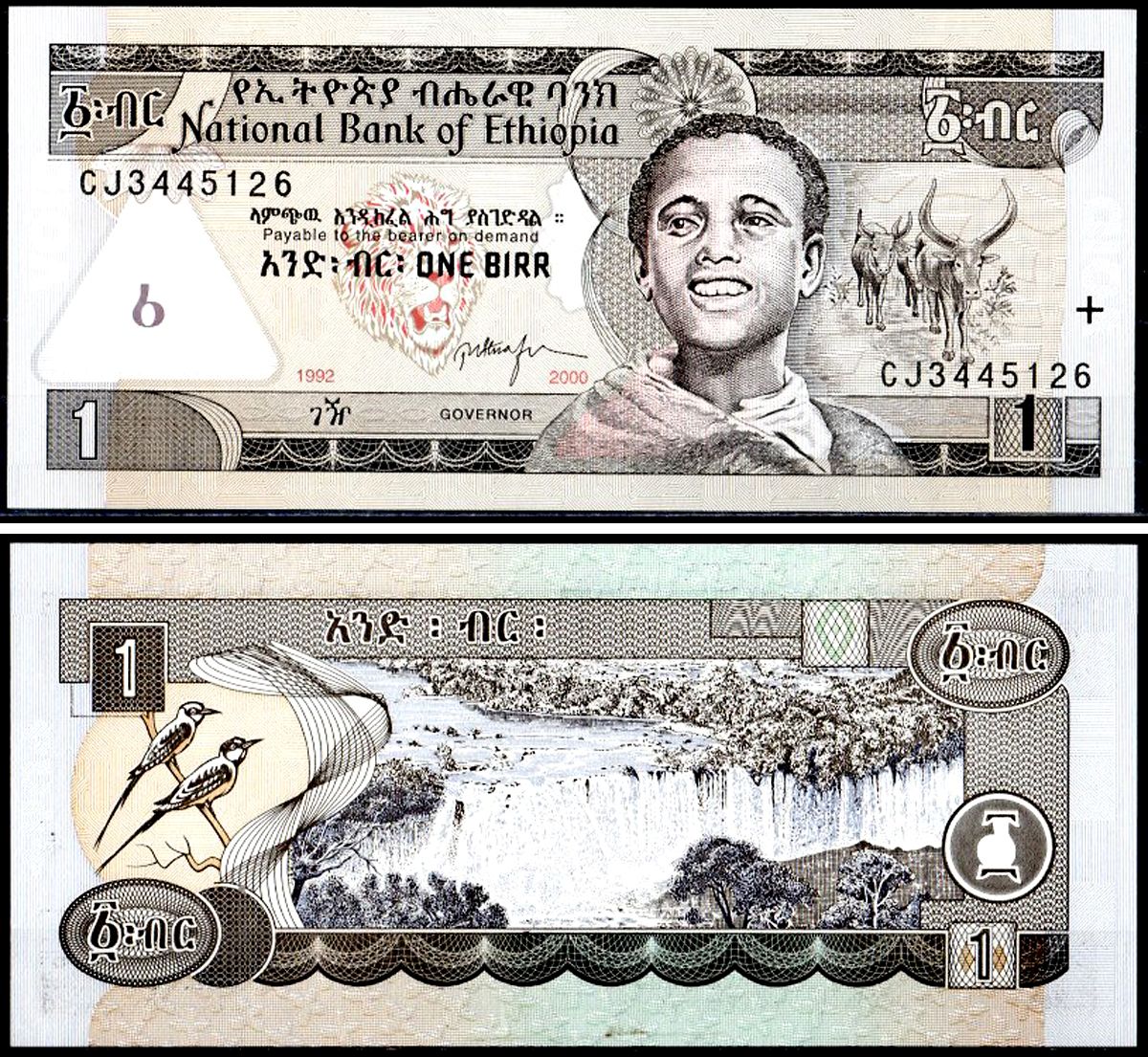 Эфиопия 1 бирр 1992-2000 Pick 46 b бумага UNC (пресс) 7147-37-3-1