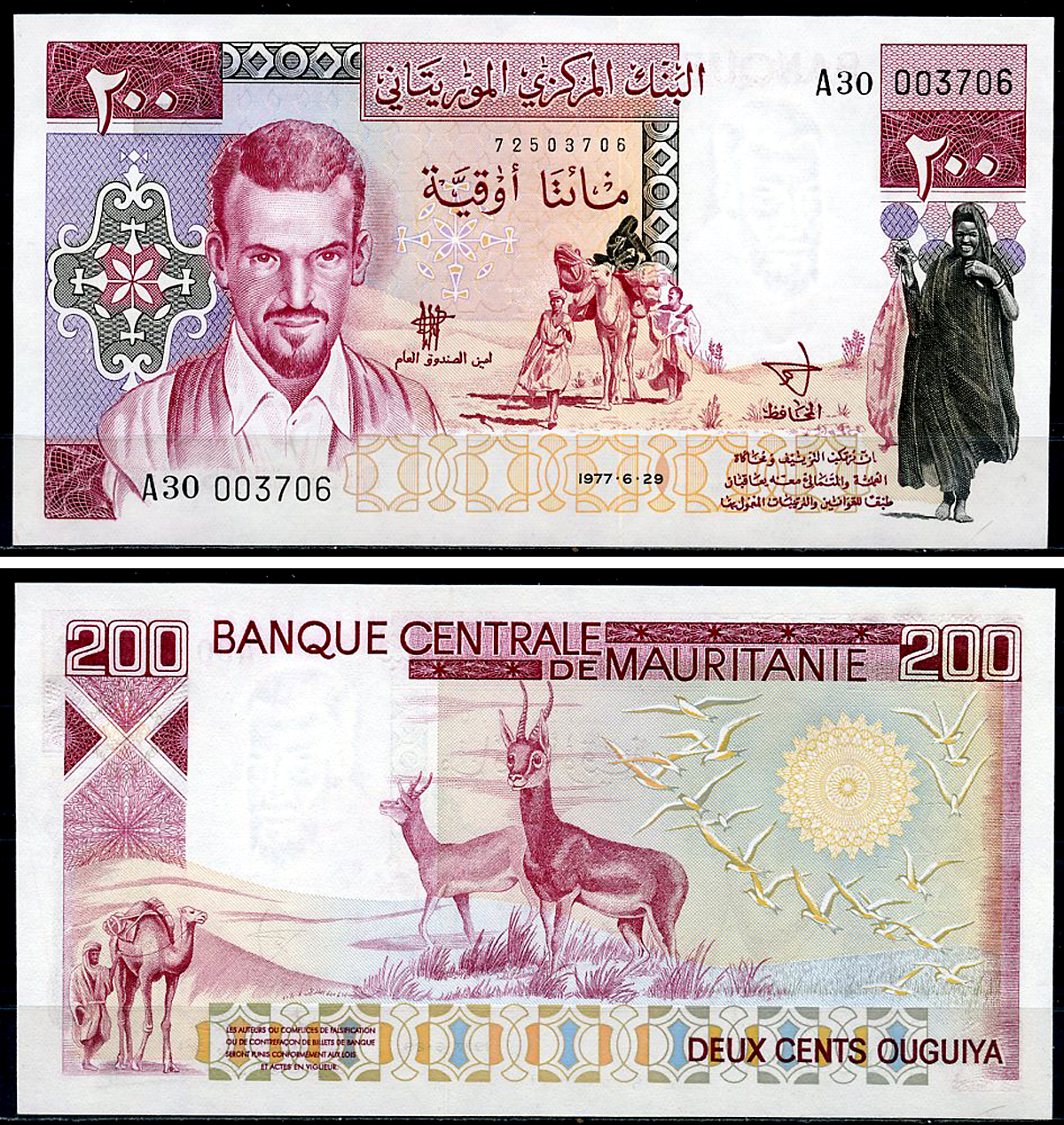 Мавритания 100 угуйя 1975, 200 и 1000 угуйя 1977   Pick 3A, 3B, 3C  бумага  UNC (пресс) 451-1305-1