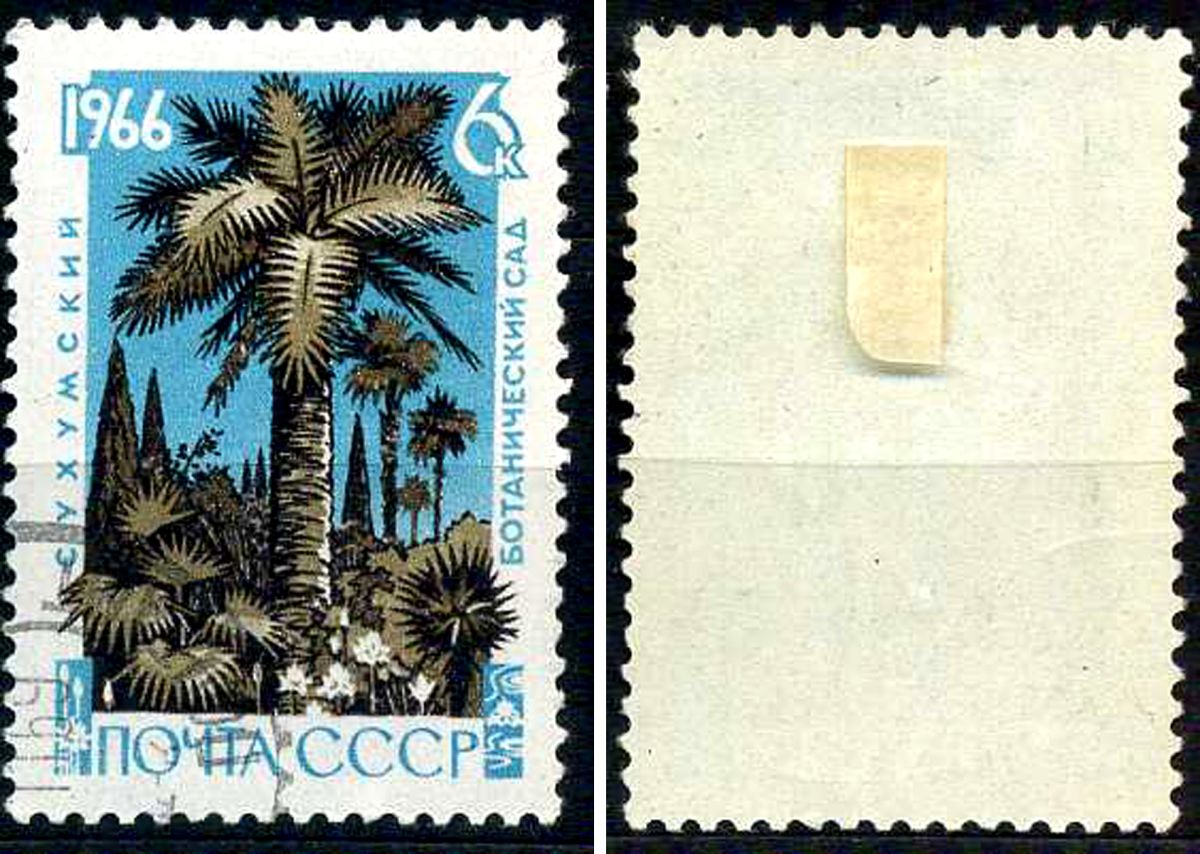 СССР марка 6 копеек 1966 125ти летие Сухумского ботанического сада Загорский 3290 почтовое гашение 8699-11-4-2
