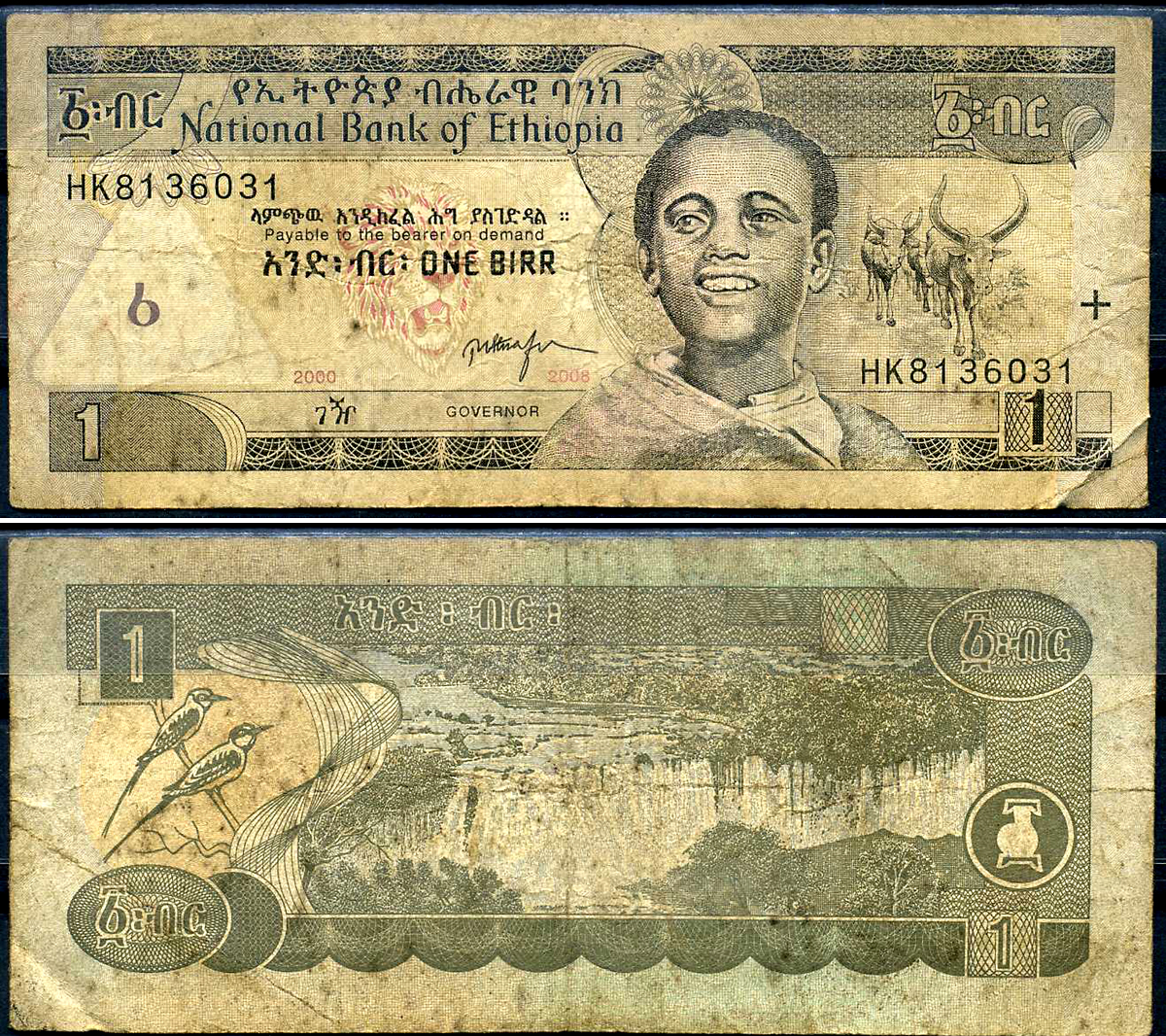 Эфиопия 1 быр ED 2000 AD 2008 Pick 46 e бумага 8592-6-4-1