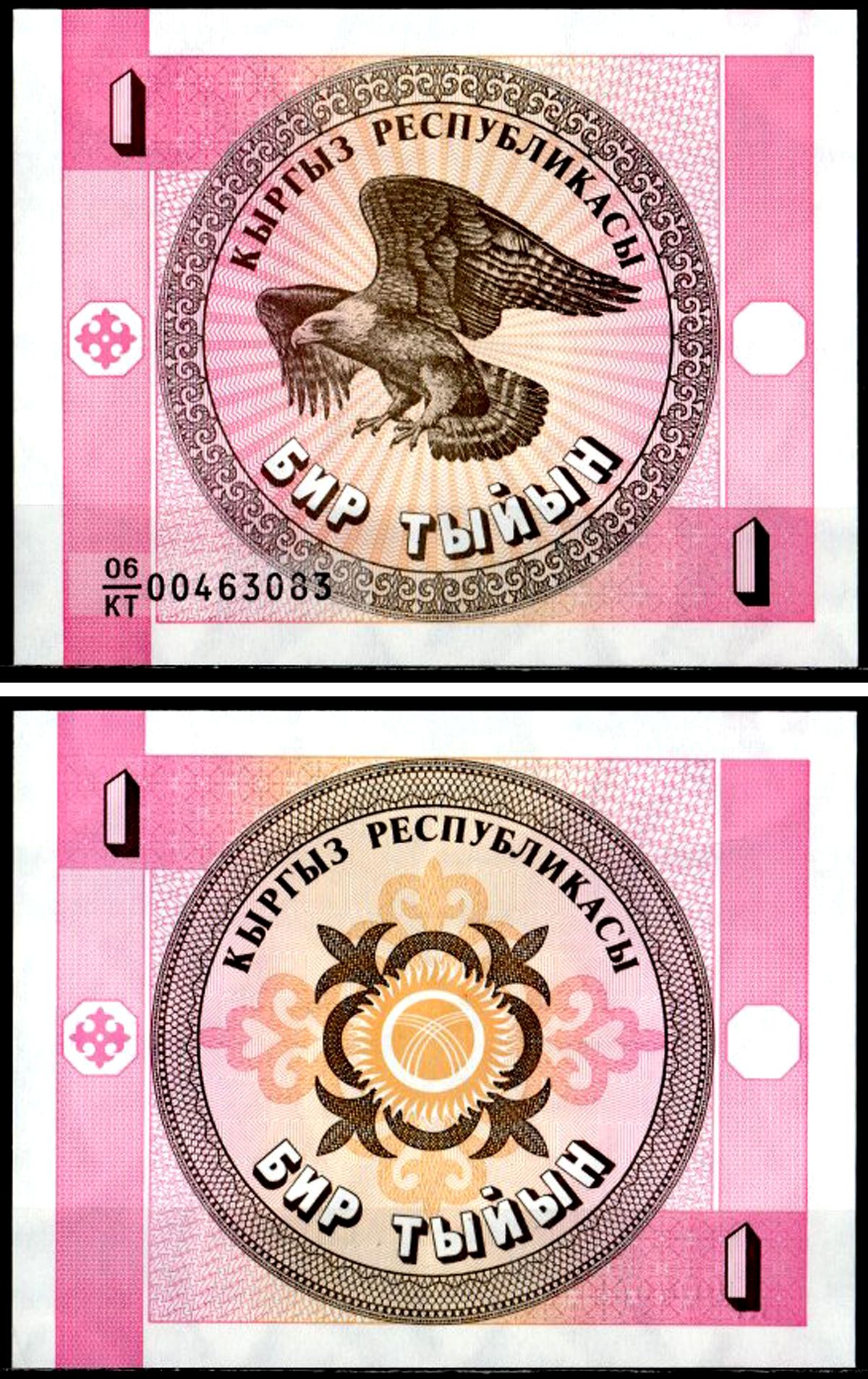 Киргизия 1 тиын 1993 Pick 1 b бумага UNC (пресс) 6281-55-1-2