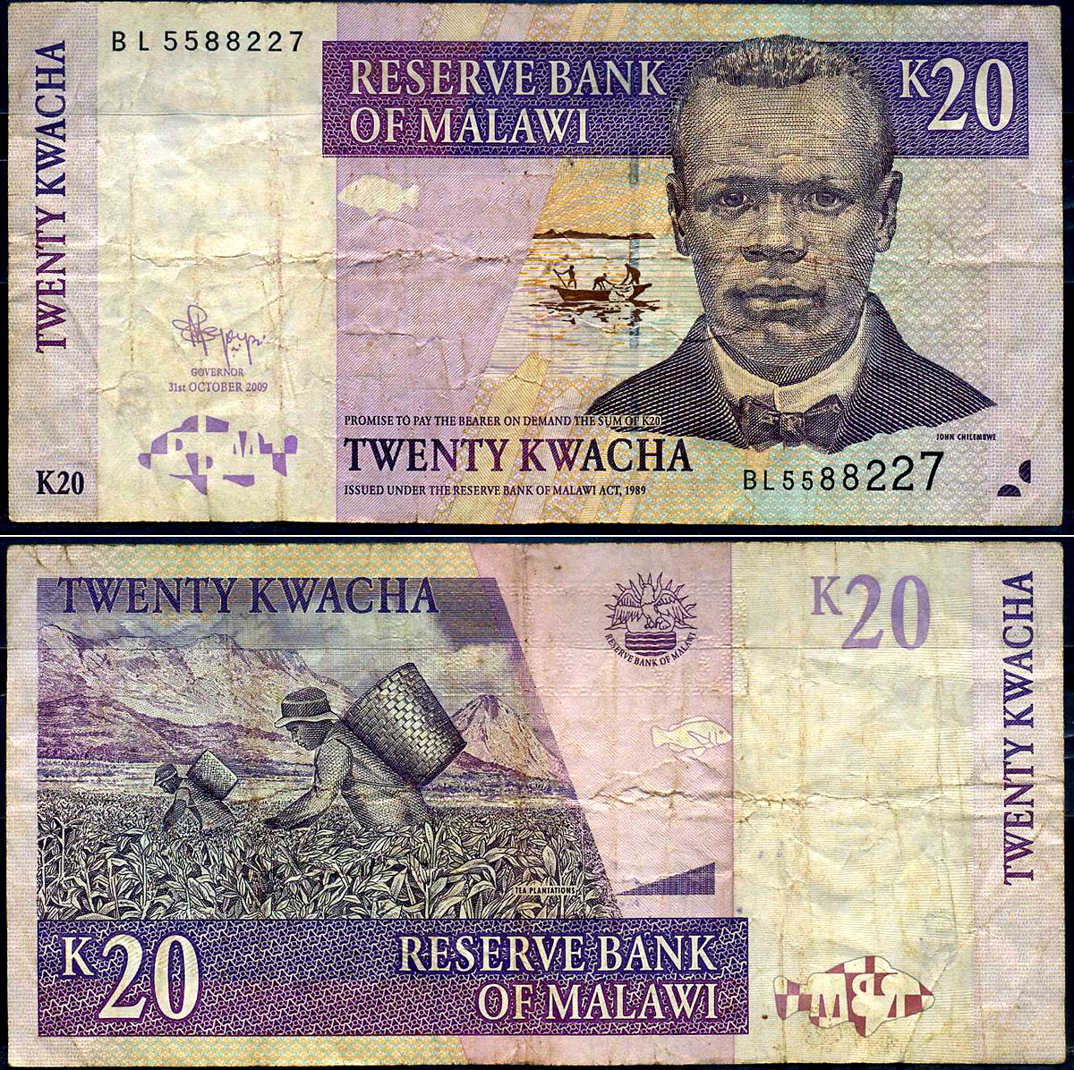Малави 20 квача 2009 Джон Чилембве, озеро Малави, сбор чая Pick 52 d бумага 8564-52-3-2