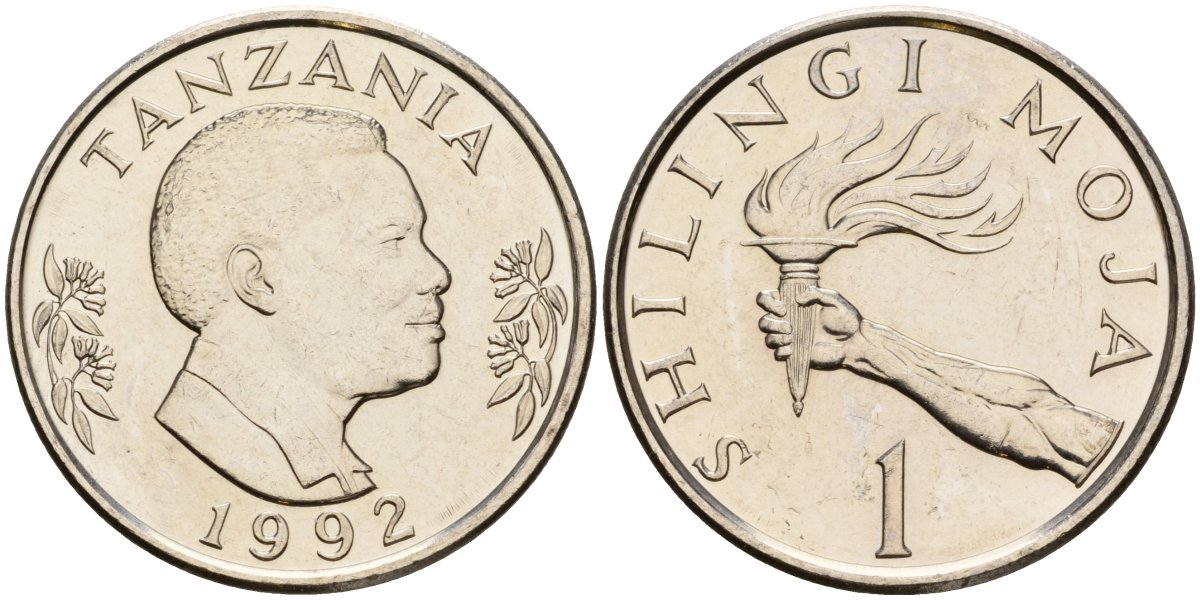 Танзания 1 шиллинг 1992 KM 22 сталь плакированная никелем UNC 93-1055