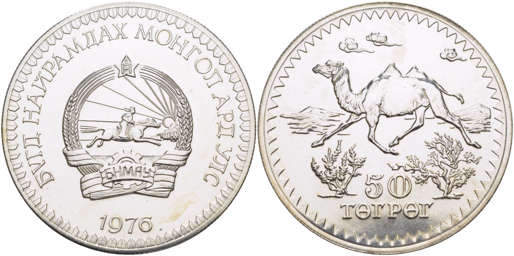 Монголия 50 тугриков 1976 серия сохраним наш мир, верблюд, тираж 5328 экз. KM 37 серебро UNC 04-315-25