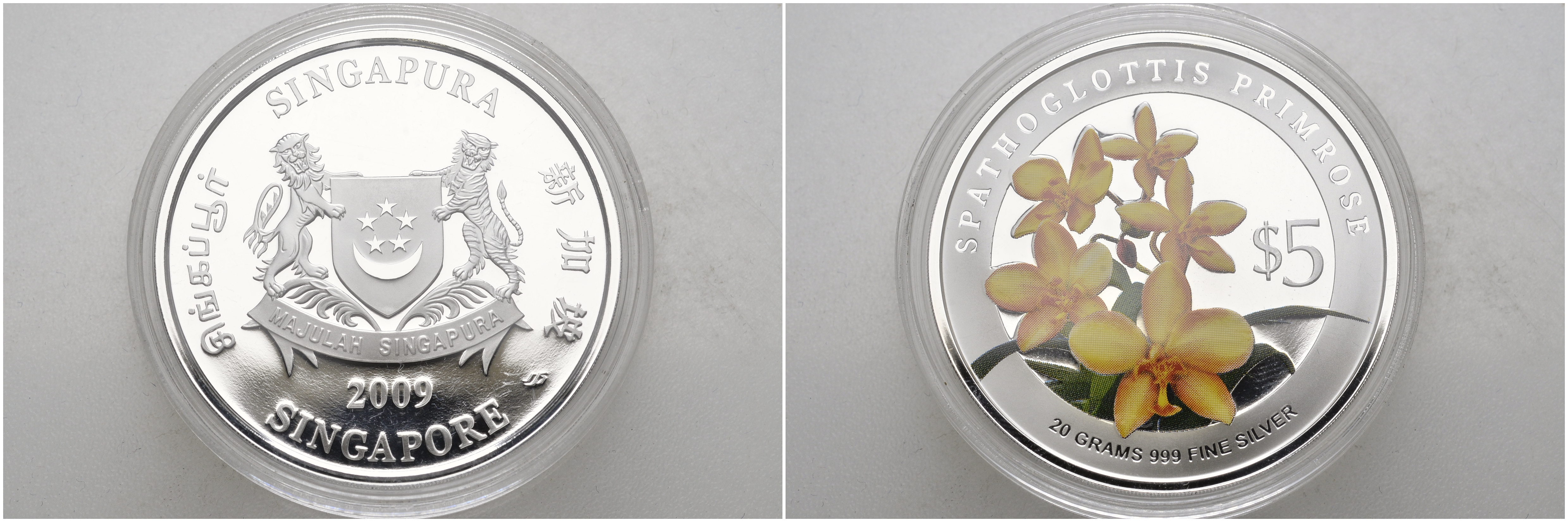 Сингапур 5 долларов 2009 орхидея Спатоглоттис, цветная эмаль KM 301 серебро  PROOF  11-147-44