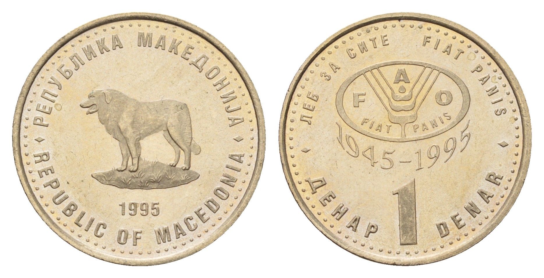 Македония 1 денар 1995 50 лет ФАО KM 5a медь цинк никель UNC 212-417
