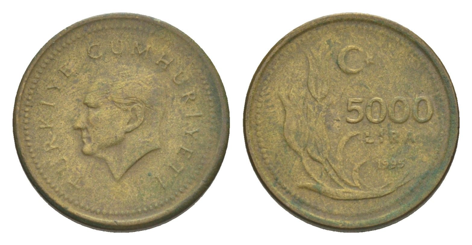 Турция 5000 лир 1995 Кемаль Ататюрк KM 1029.1 латунь 39-614