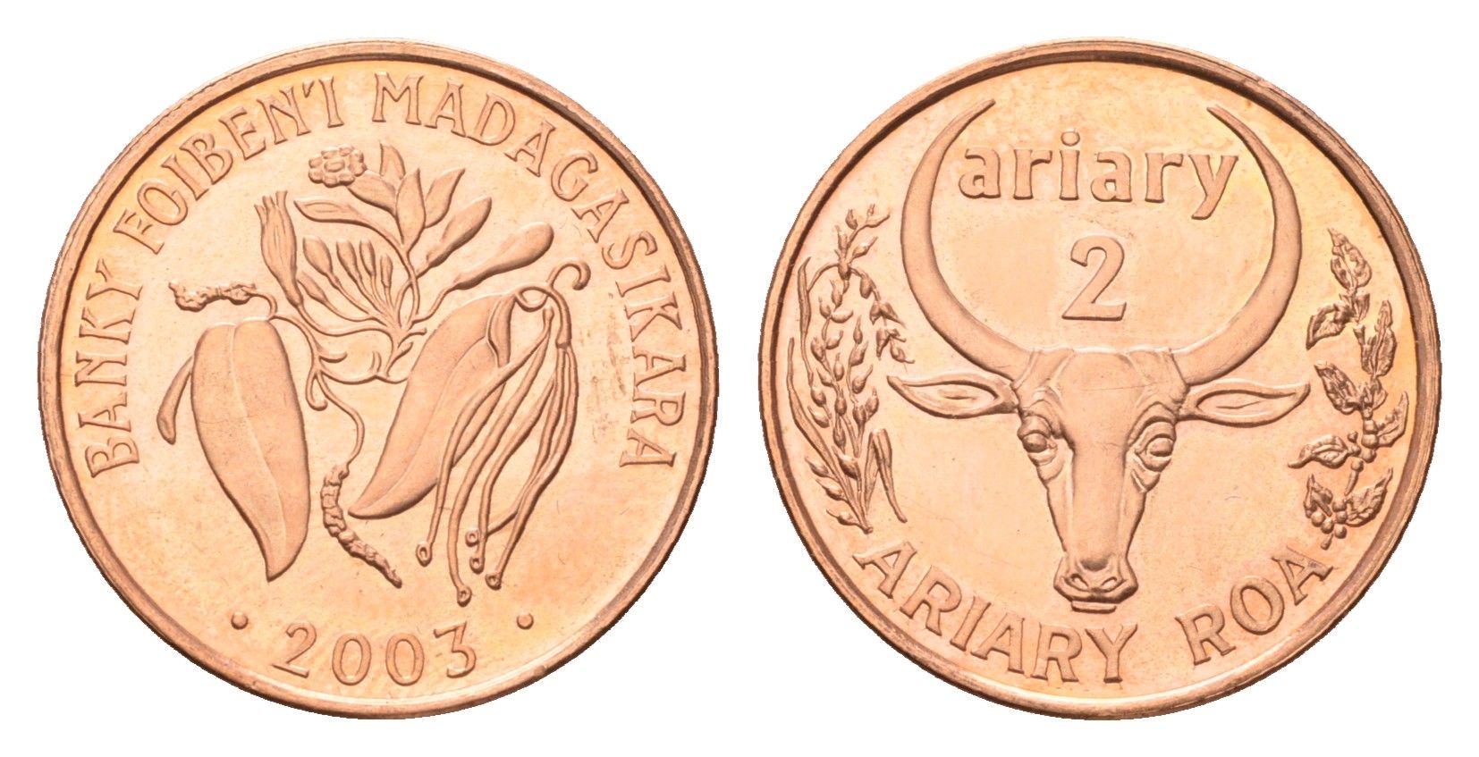 Мадагаскар 2 ариари 2003 год-тип KM 30 сталь плакированная медью UNC 4588-1043