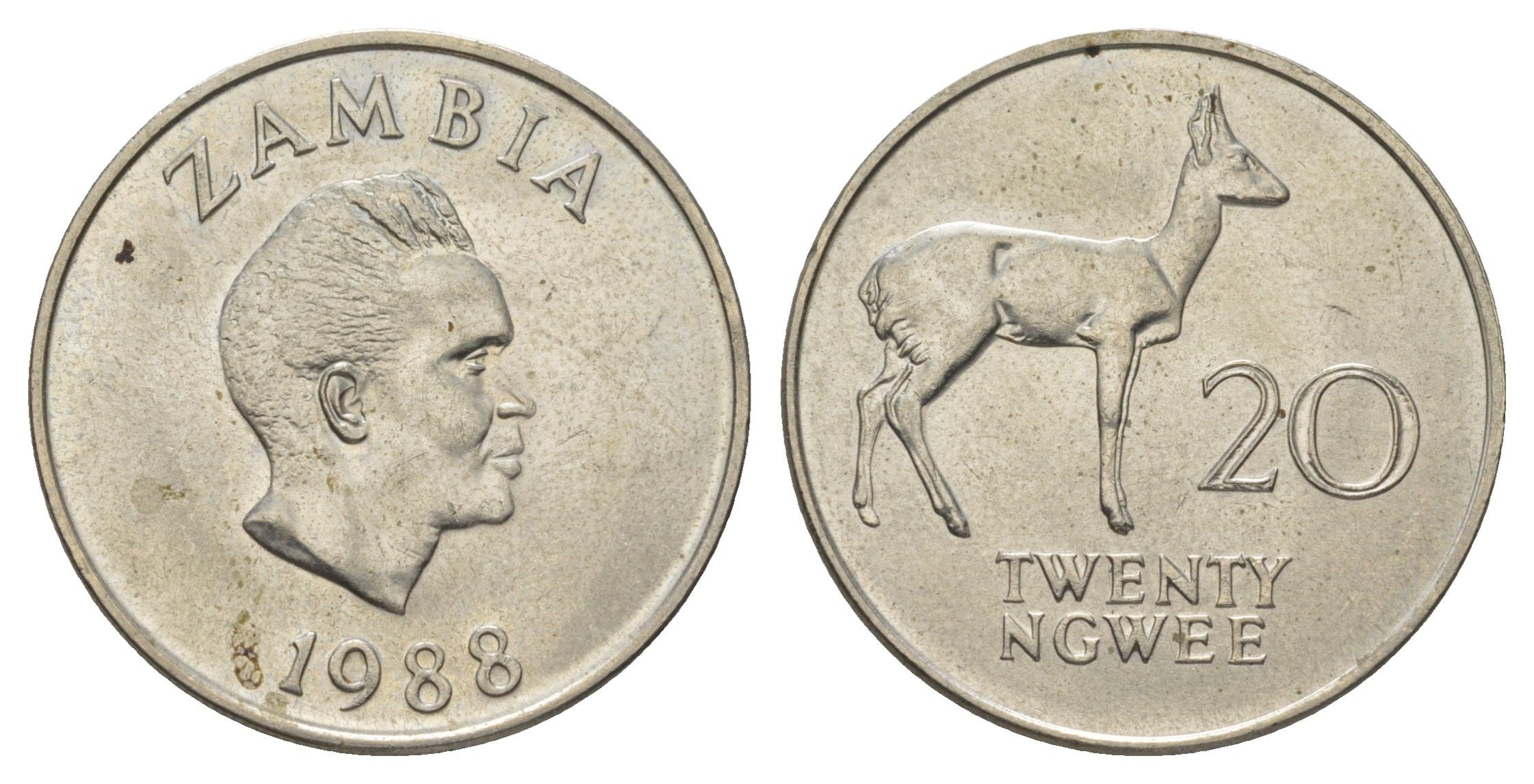 Замбия 20 нгве 1988 KM 13 медно-никель 4626-716