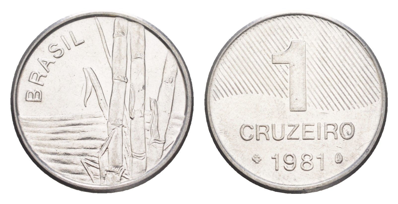 Бразилия 1 крузейро 1981 KM 590 нержавеющая сталь UNC 4644-513