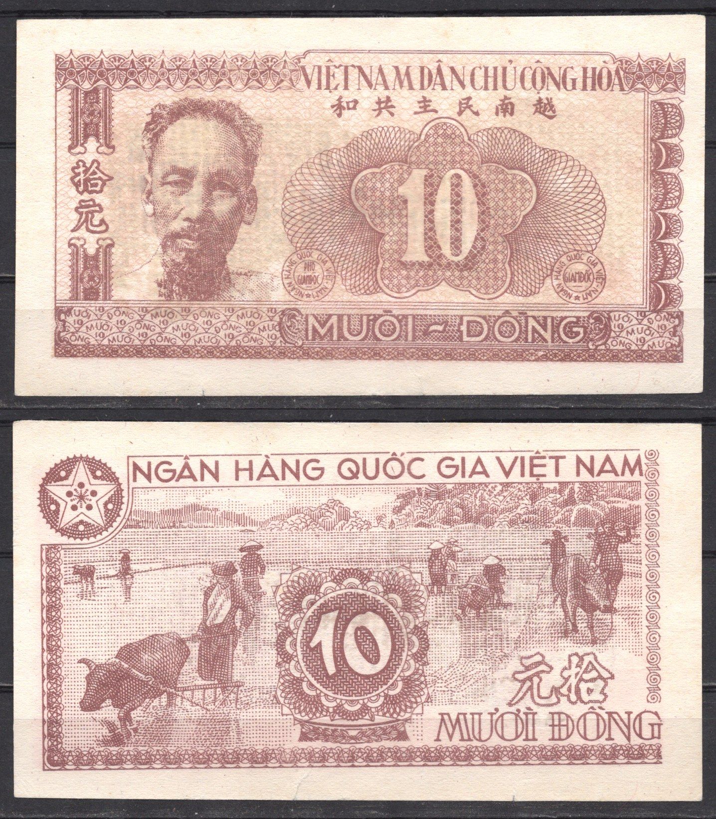 Вьетнам Северный 10 донг ND (1951) Хо Ши Мин. Сбор урожая риса Pick 59 бумага UNC (пресс) 451-902-1