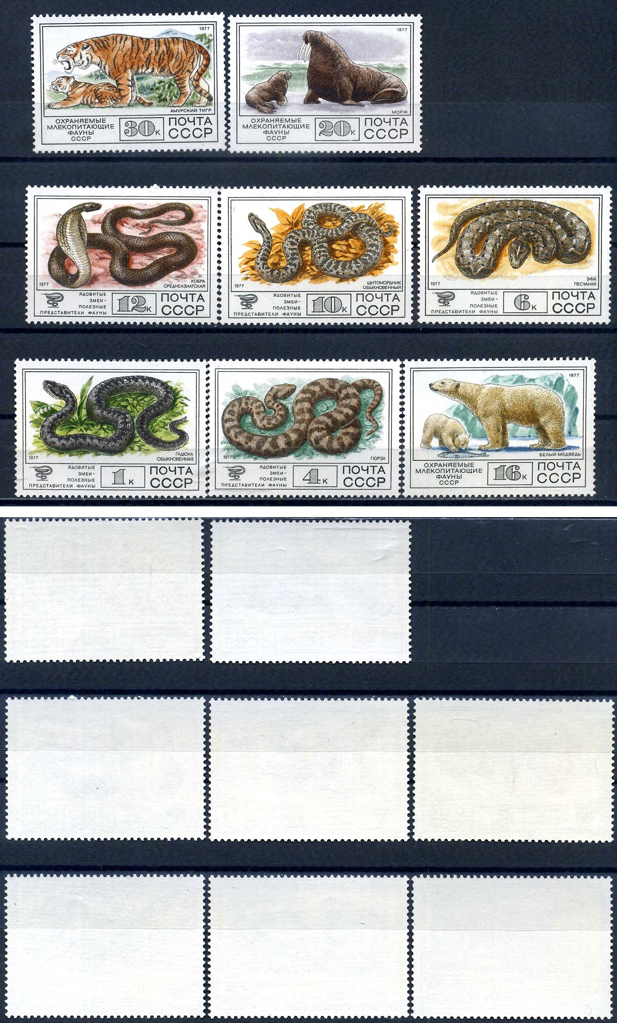 СССР набор из 8 марок (1, 4, 6, 10, 12, 16, 20 и 30 копеек) 1977 Фауна СССР- обыкновенная гадюка, гюрха, песчаная эфа, обыкновенный щитомордник, среднеазиатская кобра, белый медведь, морж, амурский тигр Загорский 4728, 4729, 4730, 4731, 4732, 4733, 4734, 
