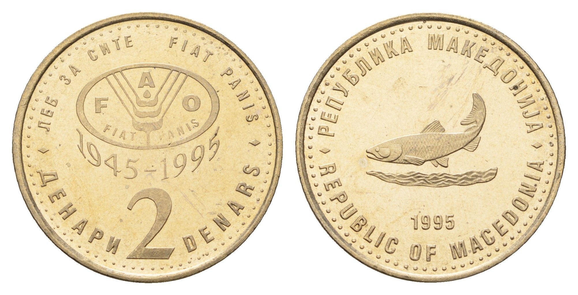 Македония 2 денара 1995 50 лет ФАО, серый цвет KM 6a медь цинк никель UNC 4699-135