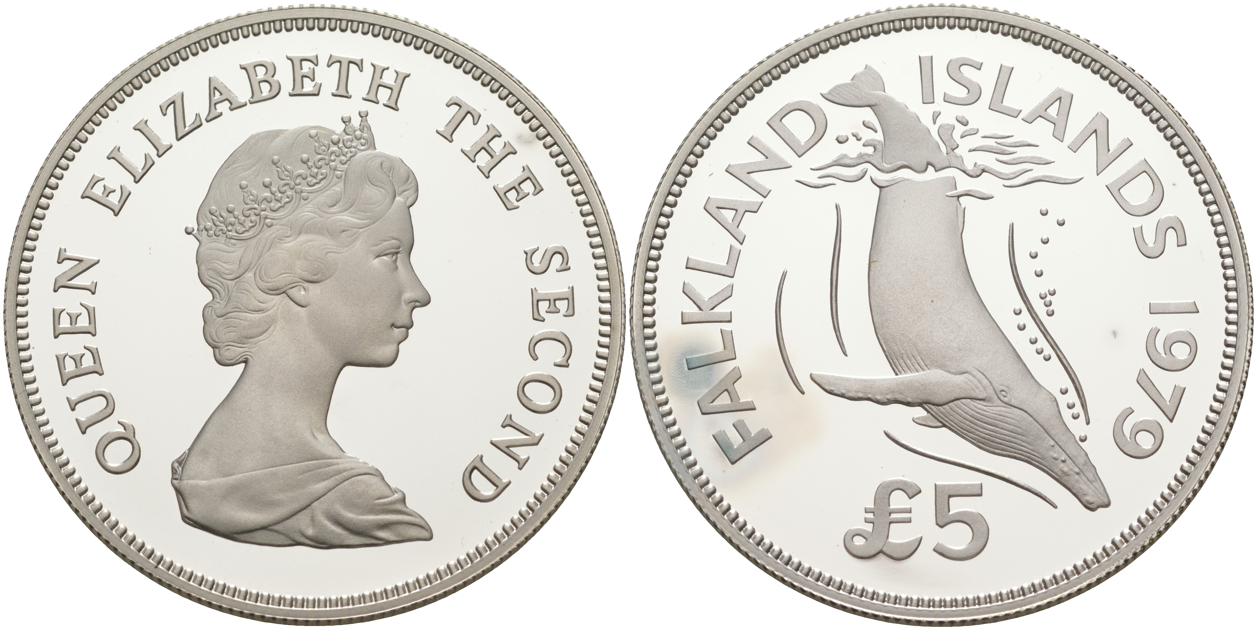 Фолклендские острова 5 фунтов 1979 серия сохраним наш мир, горбатый кит, тираж 3432 экземпляров KM 11 серебро PROOF 1074-4-54