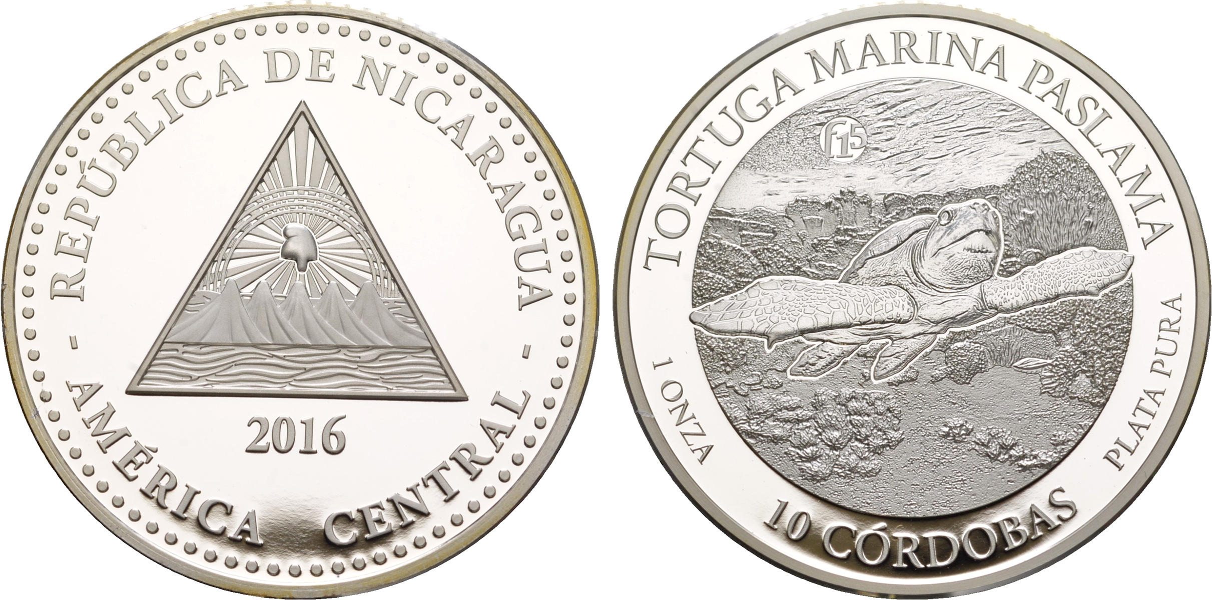 Никарагуа 10 кордоба 2016 серия сохраним наш мир, морская черепаха NI-000142 серебро  PROOF  11-182-11