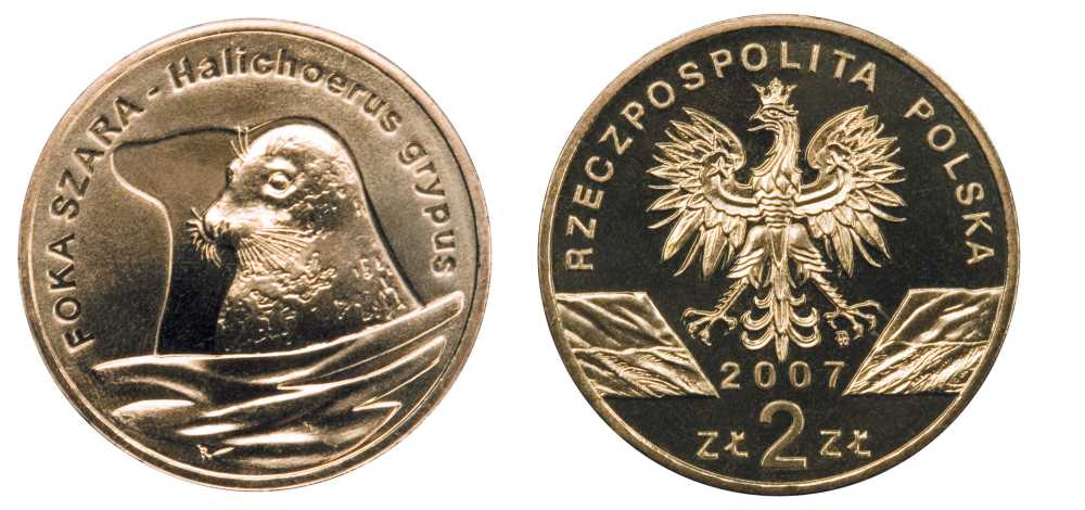 Польша 2 злотых 2007 MW, серия всемирная природа, длинномордый тюлень KM 578 латунь UNC 603-1043