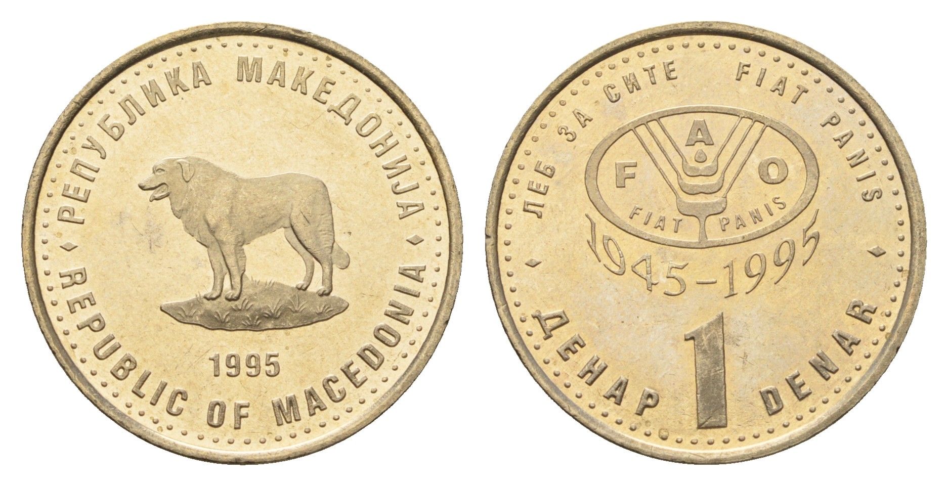 Македония 1 денар 1995 50 лет ФАО KM 5a медь цинк никель UNC 4688-734