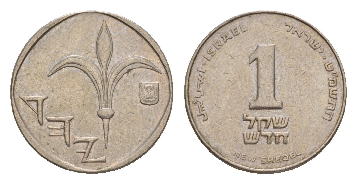 Израиль 1 новый шекель 1989 JE 5749 KM 160 медно-никель 4640-737