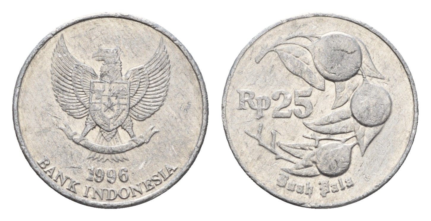 Индонезия 25 рупий 1996 KM 55 алюминий 188-954