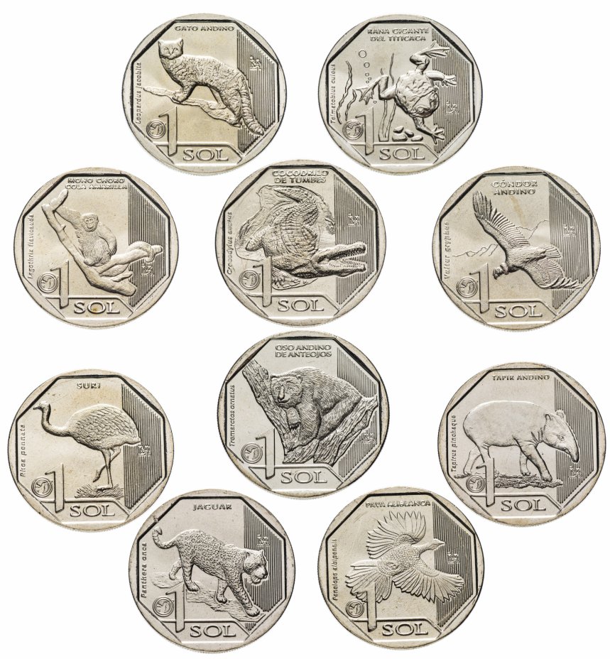 Перу лот из 10 монет по 1 соль 2017-2019 вымирающие дикие животные Перу  медь никель цинк  UNC  M67-14
