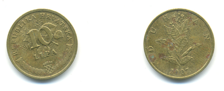 Хорватия 10 лип 2007 табак обыкновенный, легенда на хорватском KM 6 сталь плакированная латунью 176-722