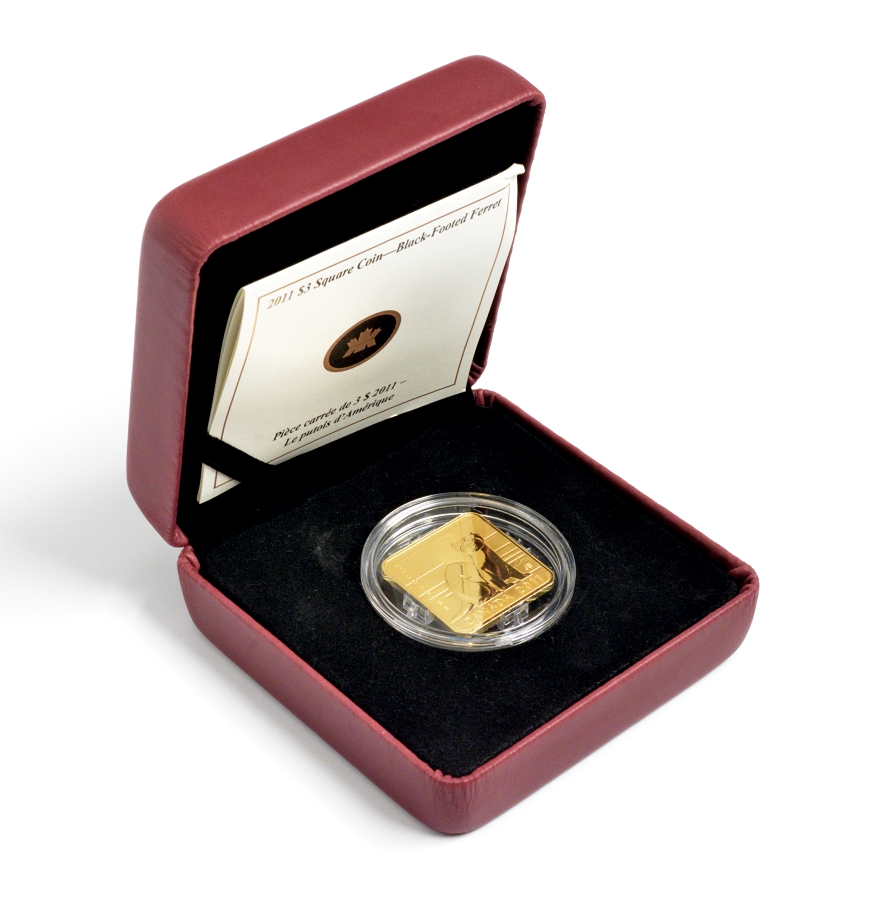 Канада 3 доллара 2011 мангуст, позолота KM NEW серебро PROOF 4-3-4-19