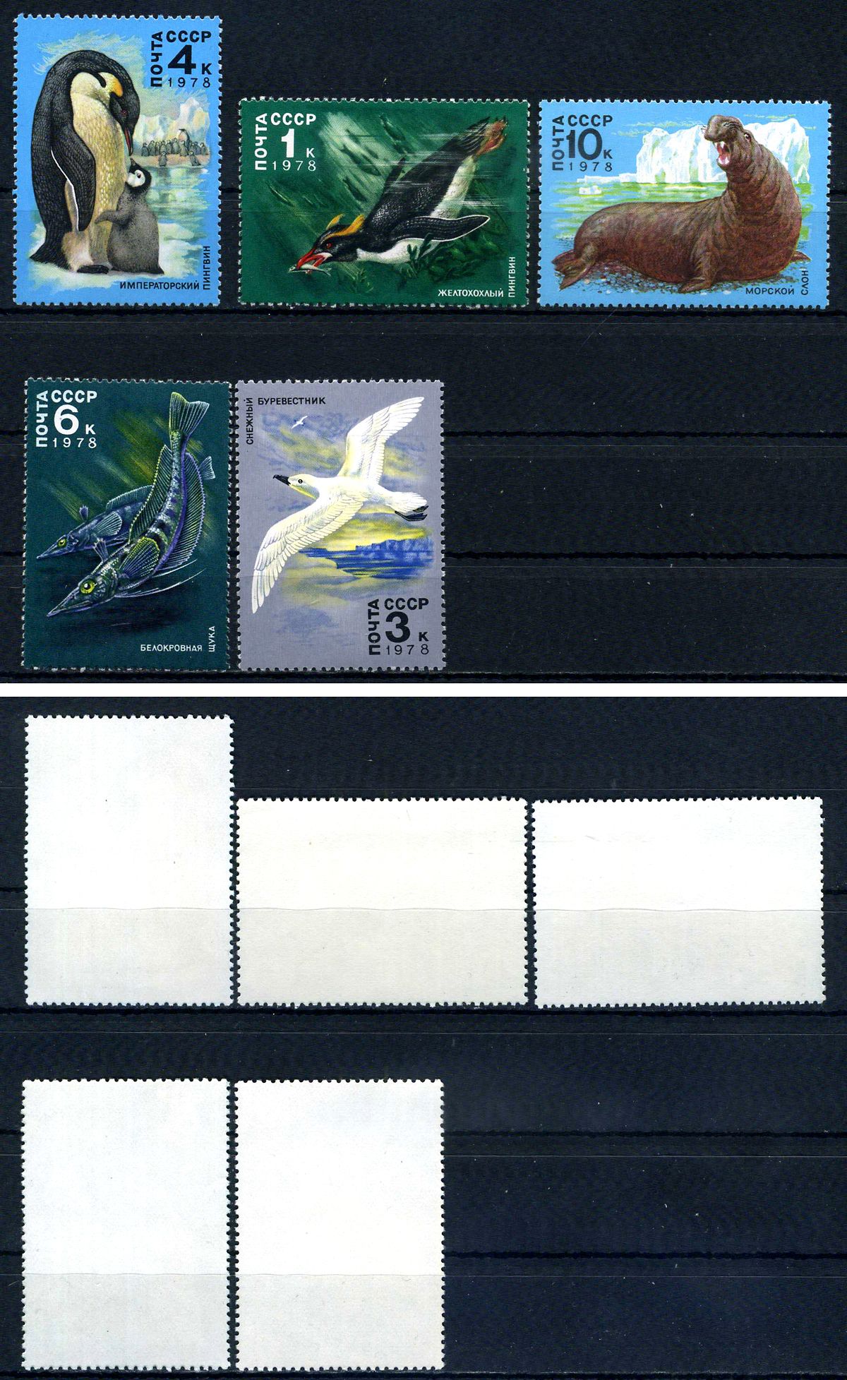 СССР набор из 5 марок (1, 3, 4, 6 и 10 копеек) 1978 Животный мир Антарктики - желтохохлый пингвин, снежный буревестник, императорский пингвин, белокровная щука, морской слон Загорский 4792, 4793, 4794, 4795 и 4796    марка с оригинальным клеем, без следов