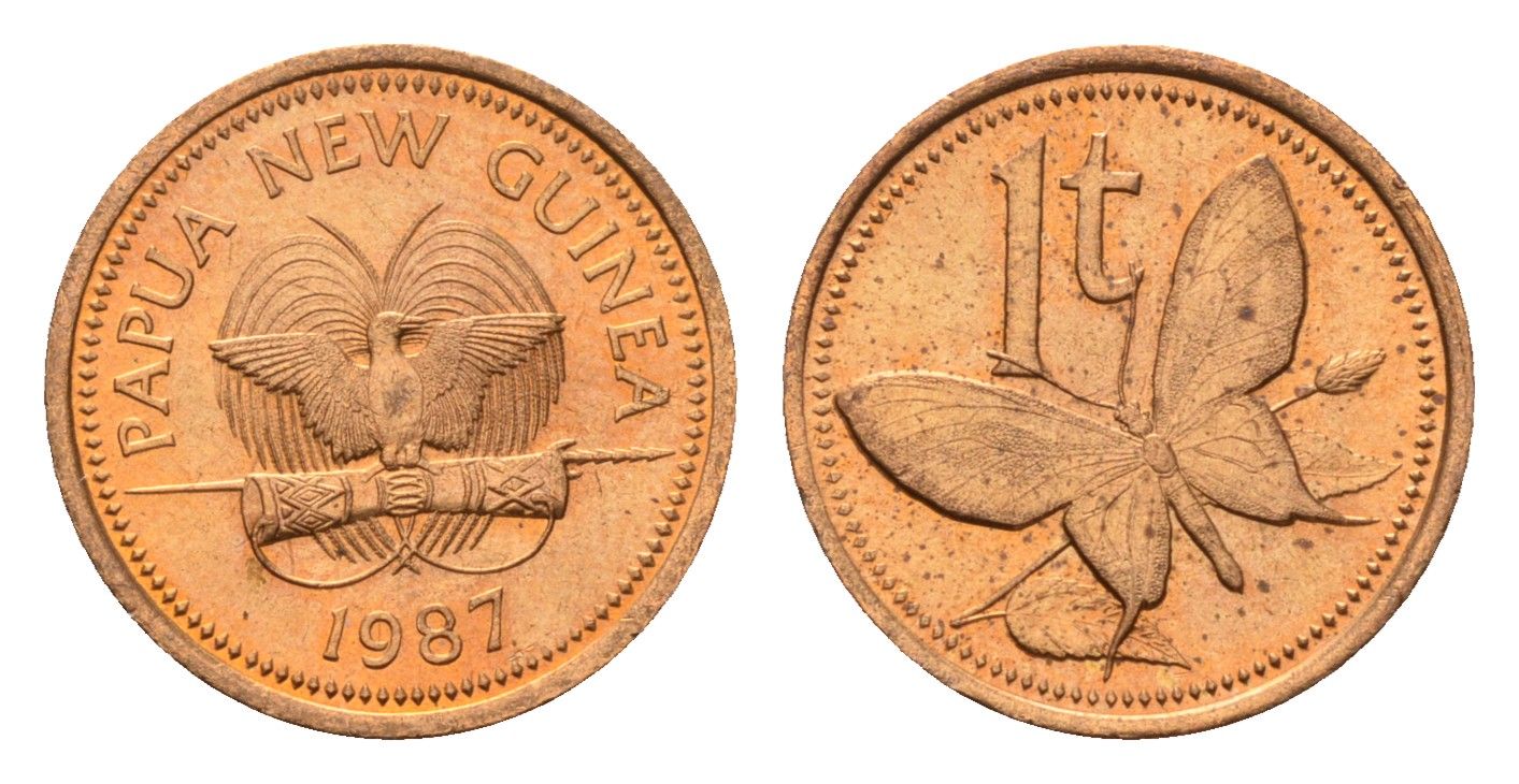 Папуа - Новая Гвинея 1 тойя 1987 KM 1 бронза UNC 4614-637