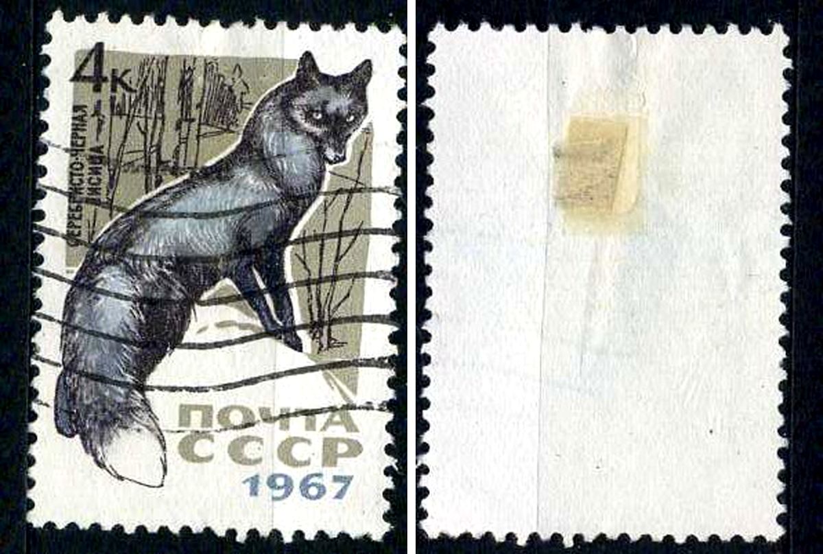 СССР марка 4 копейки 1967 пушные звери - серебристо-черная лисица Загорский 3442 почтовое гашение 8699-13-8-1
