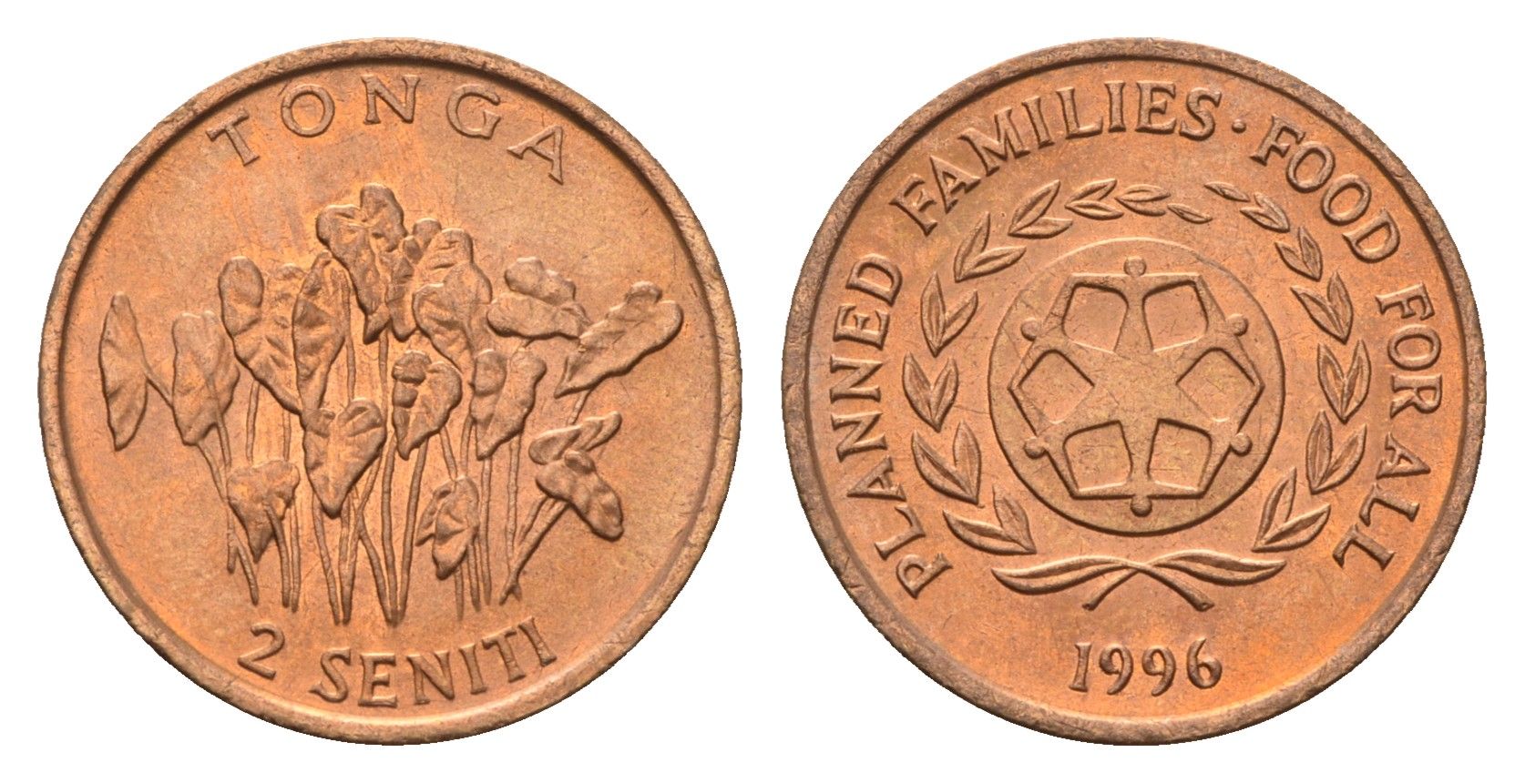 Тонга 2 сенити 1996 ФАО - Планирование семьи KM 67 бронза UNC 4395-1037