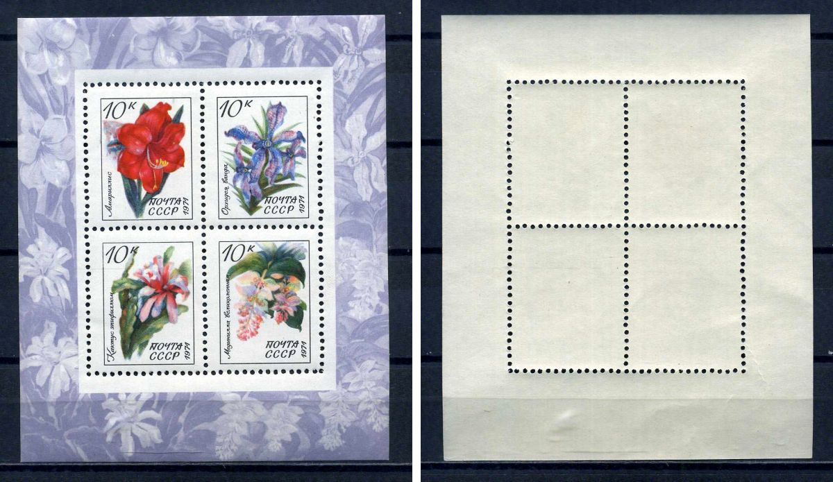 СССР блок с 4 марками 10 копеек 1971 Тропические и субтропические растения - орхидея ванда, кактус эпифиллюм, амариллис, мединилла великолепная Загорский BL76 марка с оригинальным клеем, без следов наклейки (чистая) 8705-69-1-2