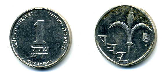 Израиль 1 новый шекель 1995 JE 5755, лилия KM 160а сталь плакированная никелем 4387-1069