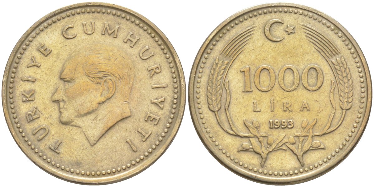 Турция 1000 лир 1993 Кемаль Ататюрк KM 997 медь никель цинк 97-123