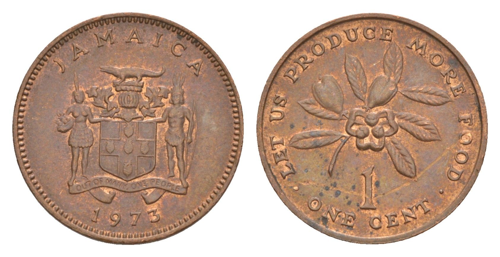 Ямайка 1 цент 1973 ФАО - Давайте производить больше еды KM 52 бронза aUNC 4649-1045