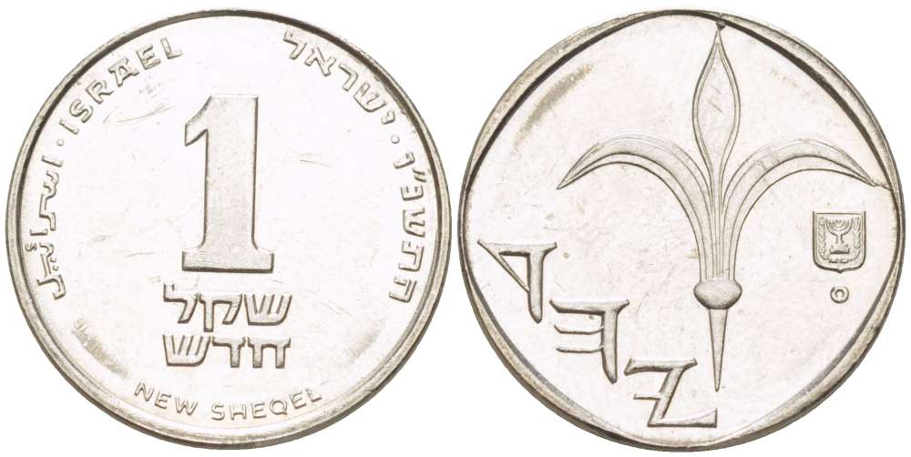 Израиль 1 новый шекель 1996 JE 5756, лилия KM 160а сталь плакированная никелем 3955-1211