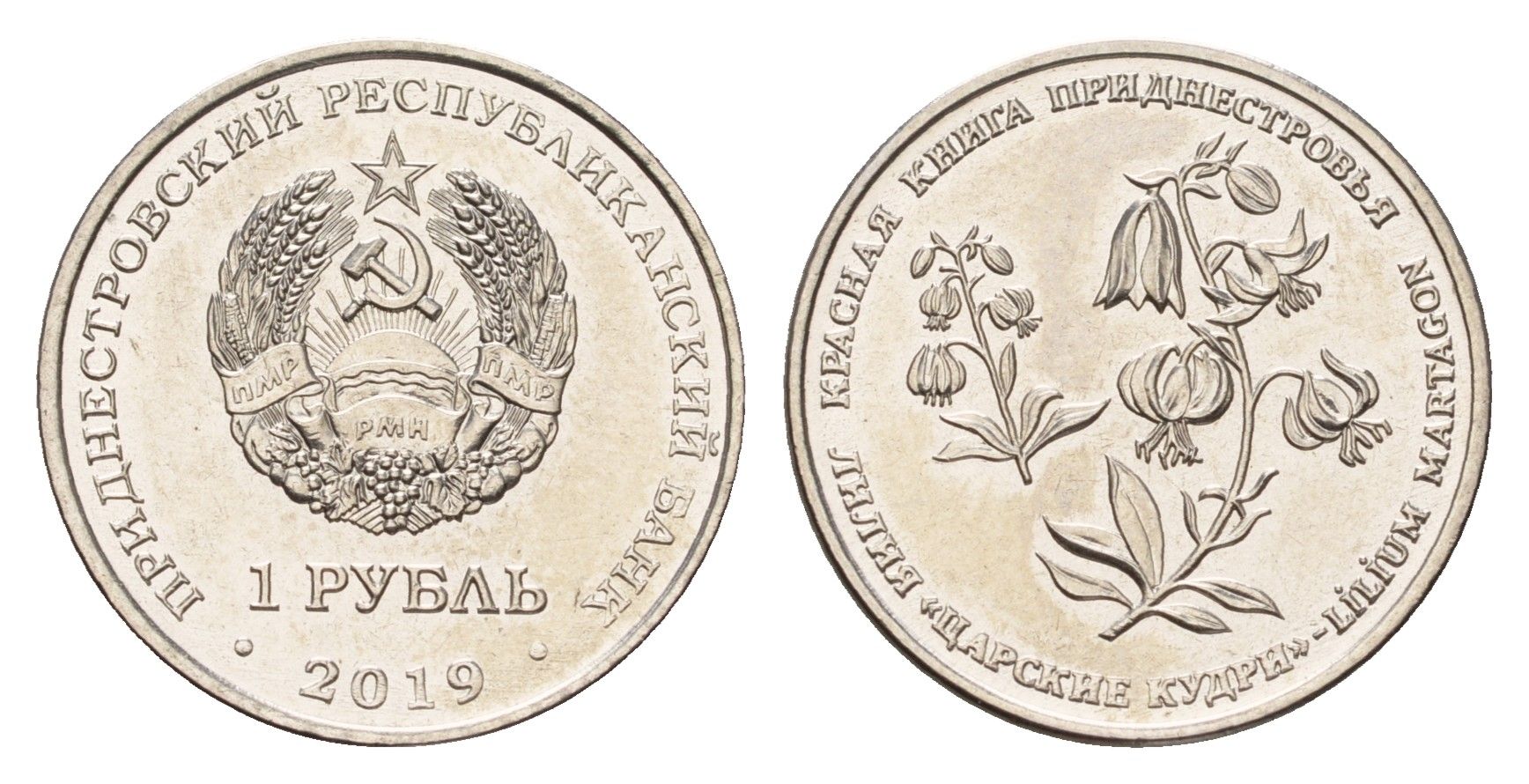 Приднестровье 1 рубль 2019 Красная книга - Лилия "Царские кудри" KM 332 сталь плакированная никелем UNC 4669-1139