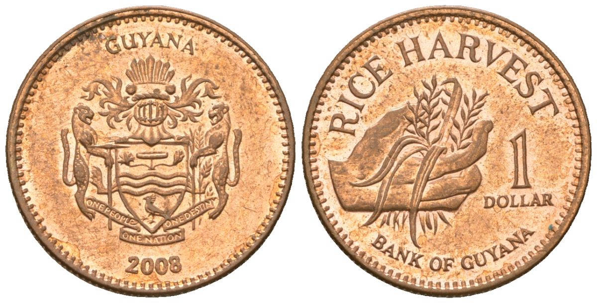 Гайана 1 доллар 2008 KM 50 сталь плакированная медью UNC 4124-728