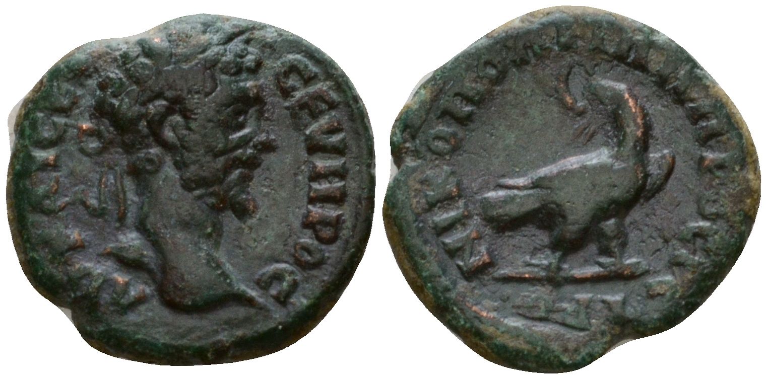 Римская Империя, Провинция Нижняя Мезия, Никополь-на-Истре AE 193 - 211 Септимий Север, бюст императора / орел Mionnet Supp II, 391 бронза 1100-8-36