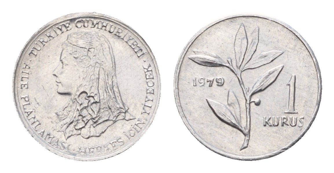 Турция 1 куруш 1979 ФАО - Планирование семьи KM 924a алюминий UNC 45-1148