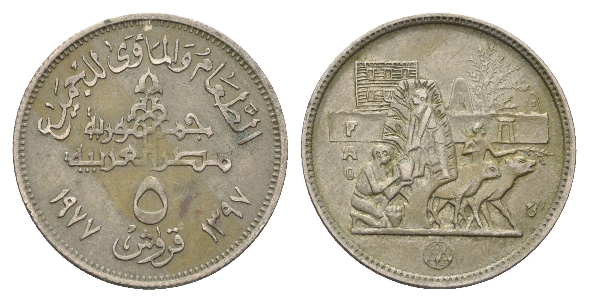 Египет 5 пиастров 1977 Продовольственная программа - ФАО KM 468 медно-никель 4660-1135