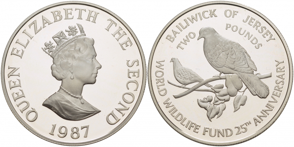 Джерси 2 фунта 1987 серия 25 лет защиты окружающей среды, голуби KM 70a серебро PROOF 04-136-21