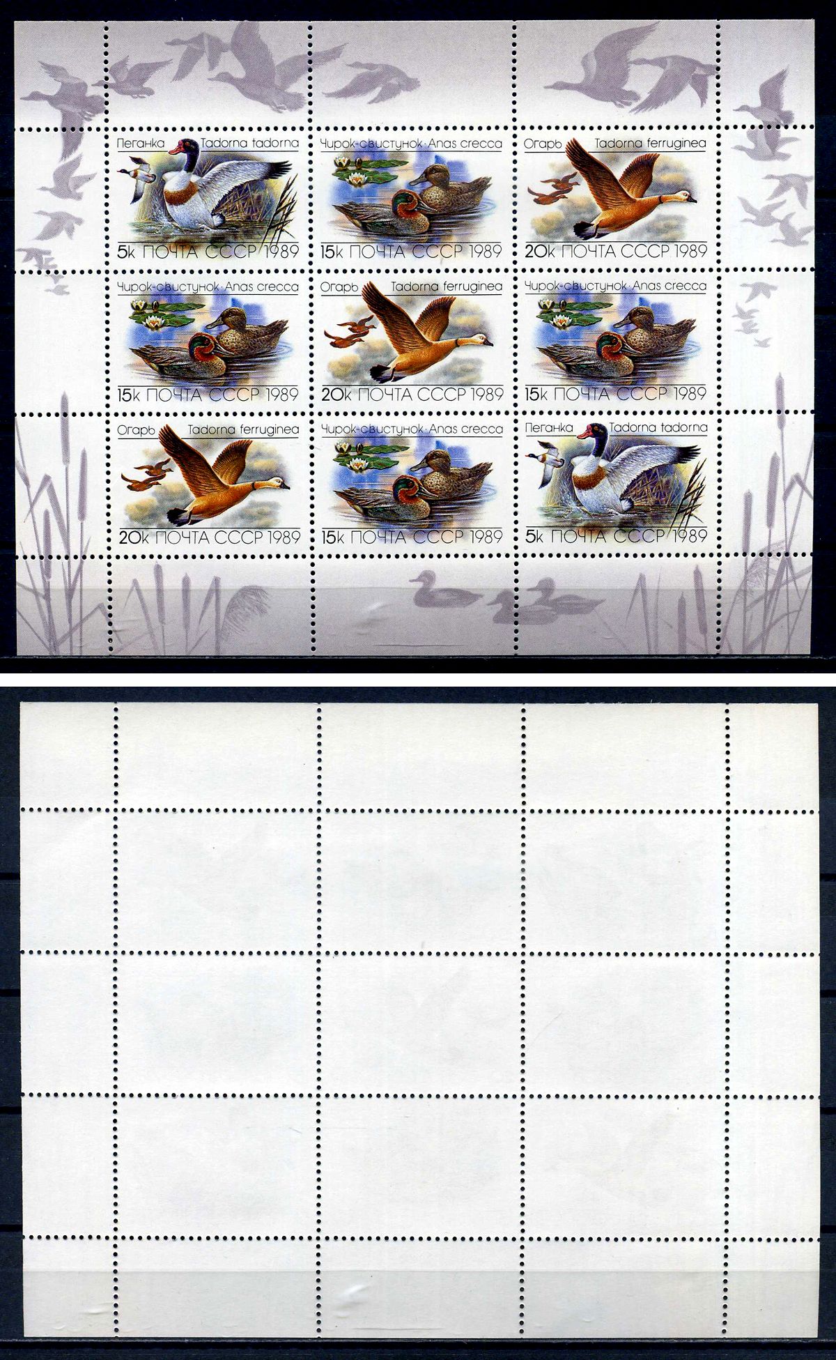 СССР лист из 9 марок (5, 15 и 20) копеек 1989 утки - пеганка, чирок-свистунок, огарь Загорский MS6017-6019 марка с оригинальным клеем, без следов наклейки (чистая) 8705-66-2-1