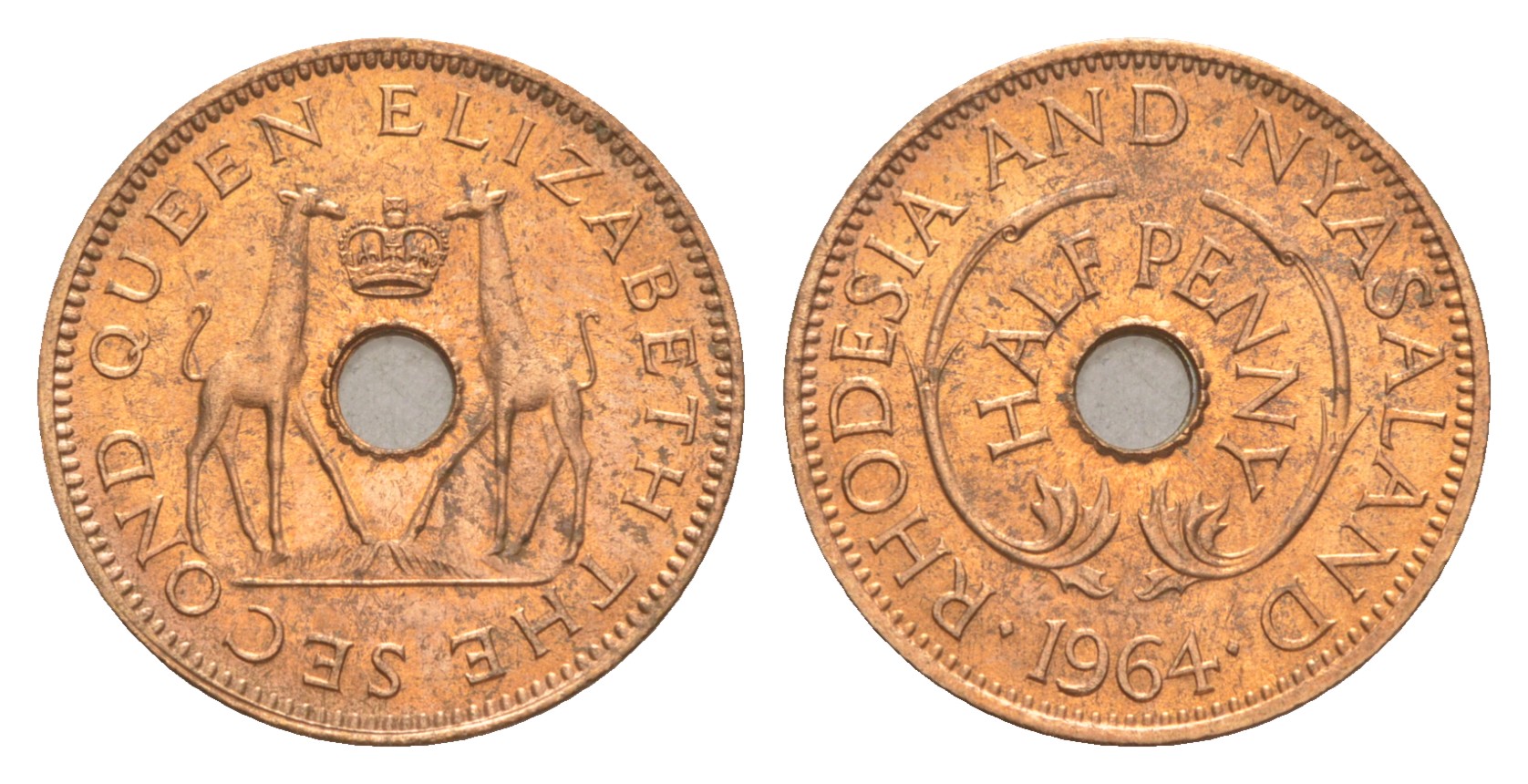 Родезия и Ньясаленд 1/2 пенса 1964 Елизавета II (1952-2022), жирафы KM  1 бронза  UNC  4640-912