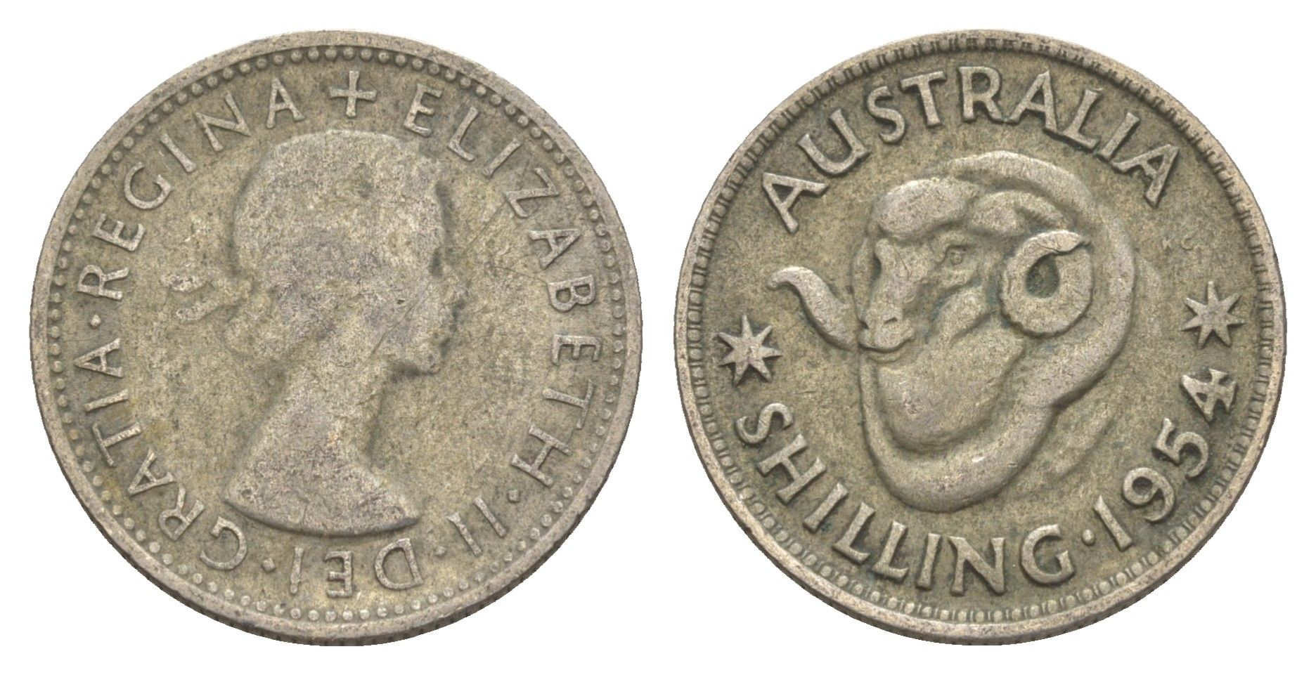 Австралия 1 шиллинг 1954 Елизавета II (1952-2022), овца меринос KM 53 серебро 4652-147