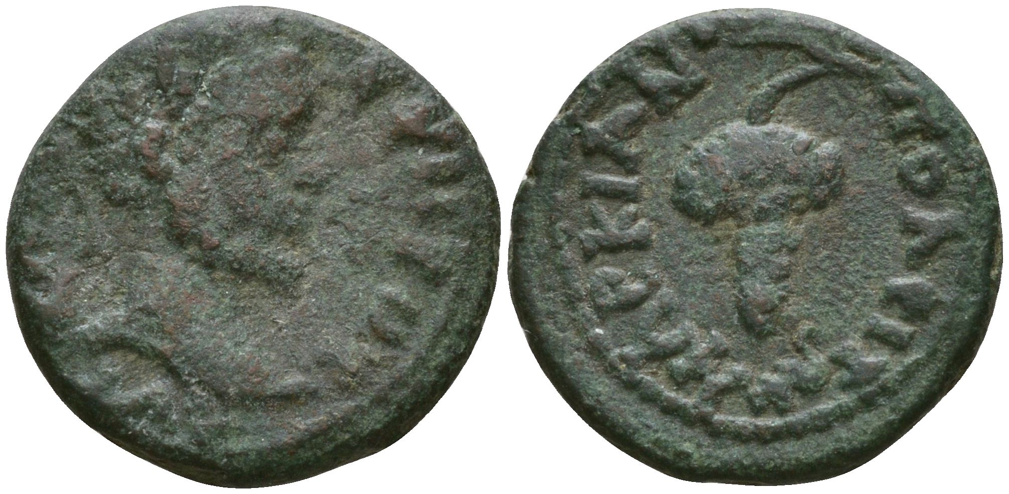 Римская Империя, Провинция Нижняя Мезия, Маркианополь AE 193 - 211 Септимий Север, бюст императора / виноградная гроздь бронза 1100-7-115