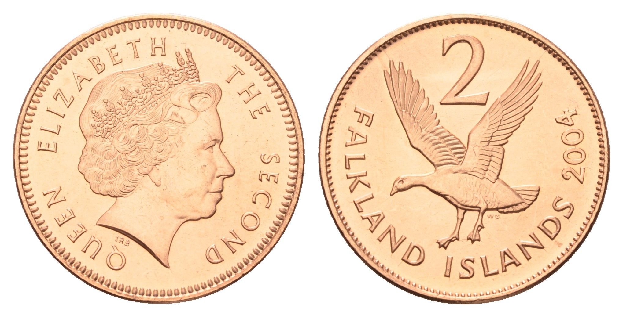 Фолклендские острова (Фолкленды) 2 пенса 2004 Елизавета II (1952-2022), магелланов гусь KM 131 сталь плакированная медью UNC 4666-411