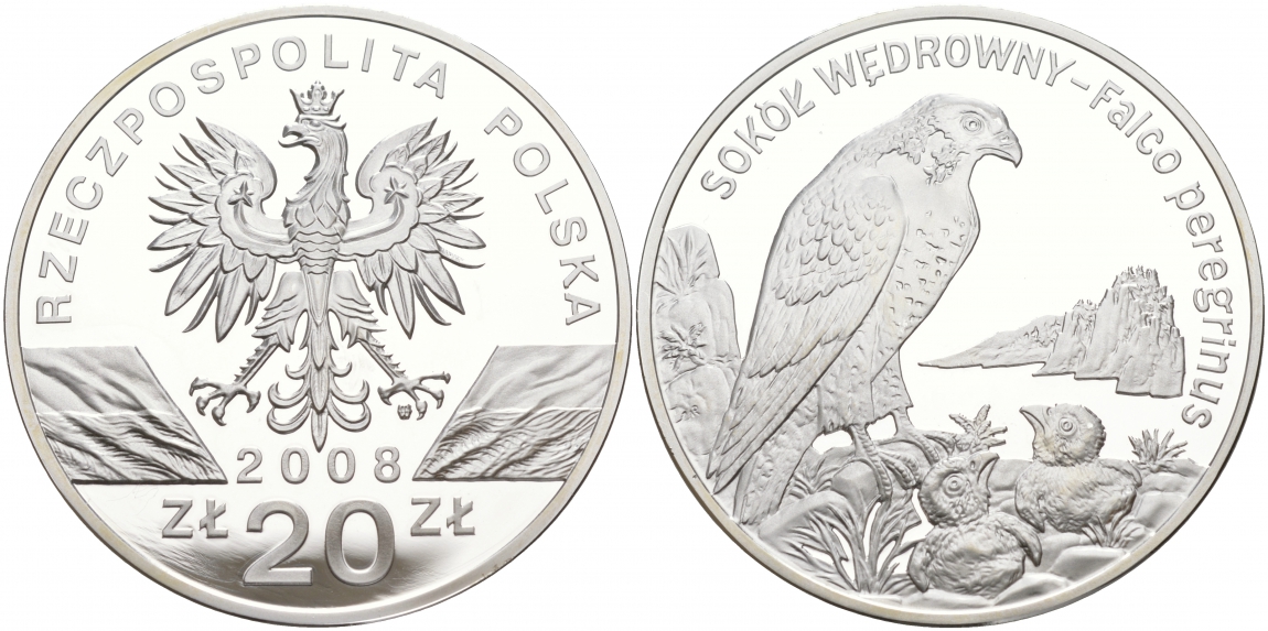 Польша 20 злотых 2008 серия всемирная природа, сапсан KM 637 серебро PROOF 1091-2-23